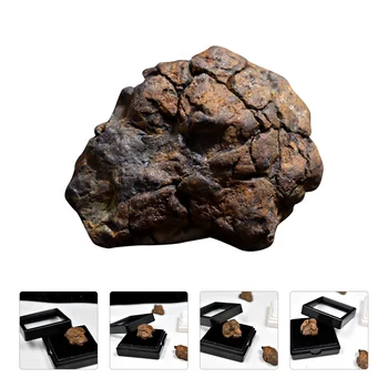 Olivový Meteorit Autentické Šperky, dětské Hračky, Stolní Ozdoba, Jídelní Stůl Obrázek