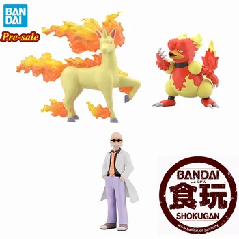 Originální BANDAI Pokémon Měřítku Světě Kanto Katsura Rapidash Magmar Anime Postava Candy Hračky Pocket Monster PVC Model Dárek Obrázek