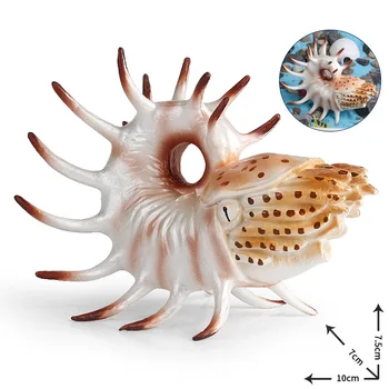 Simulace Mořské Zvířecí Model Hračky Dávných Tvorů, Nautilus Kognitivní Fish Tank Terénní Úpravy Ozdoby Obrázek