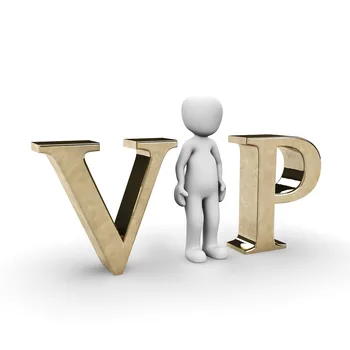 VIP-Nákladní/rozdíl Obrázek